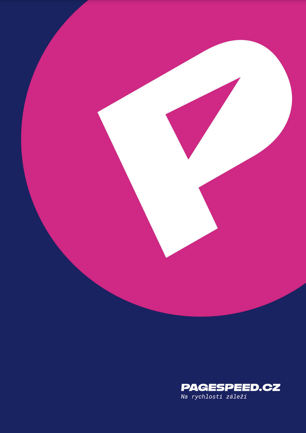 PageSpeed.ONE Audit: Hauptseite