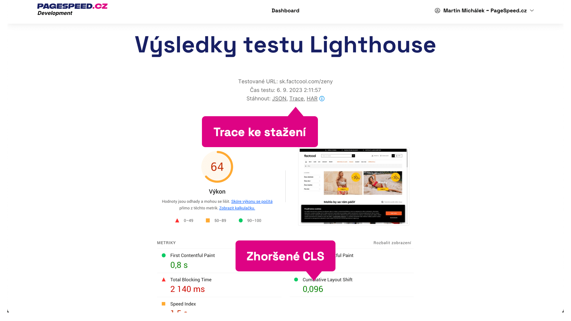 Výsledky testu Lighthouse pro konkrétní URL.