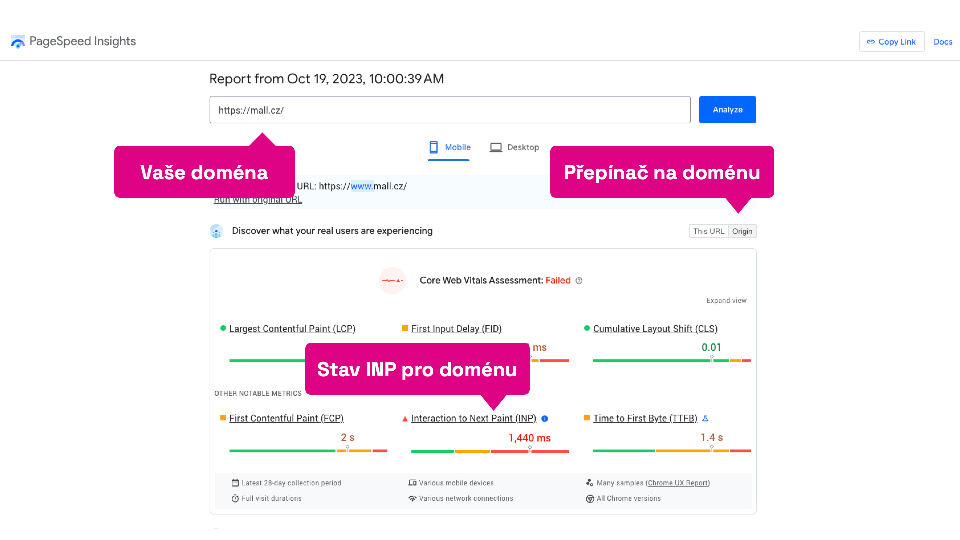 Přehled pro metriky Core Web Vitals v PageSpeed Insights